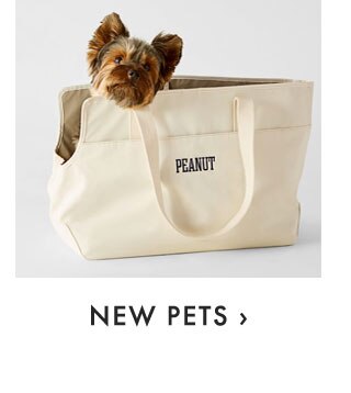 NEW PETS ›