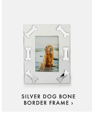 SILVER DOG BONE BORDER FRAME ›