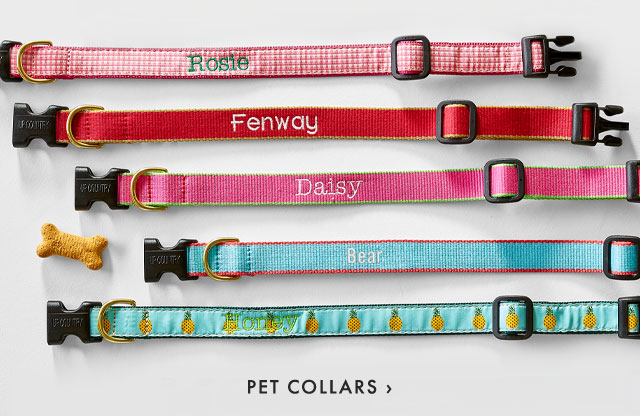 PET COLLARS ›