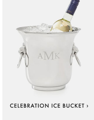 CELEBRATION ICE BUCKET ›