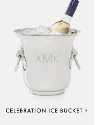CELEBRATION ICE BUCKET ›