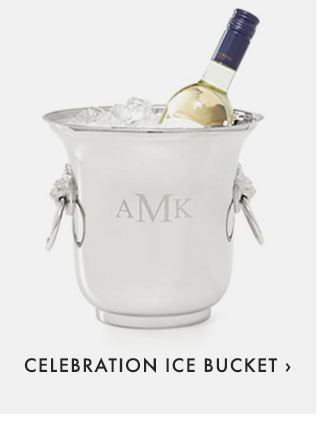 CELEBRATION ICE BUCKET ›