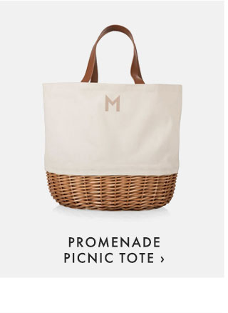 PROMENADE PICNIC TOTE ›