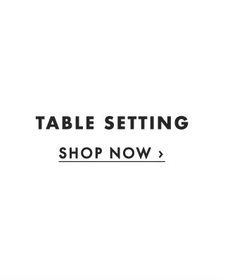 TABLE SETTING - SHOP NOW ›
