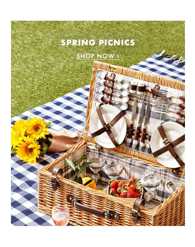 SPRING PICNICS - SHOP NOW ›