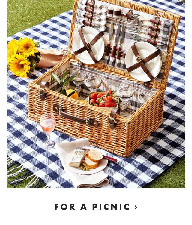 FOR A PICNIC ›