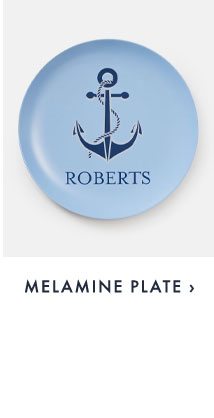 MELAMINE PLATE ›