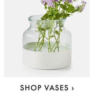 SHOP VASES ›