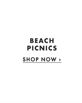 BEACH PICNICS ›