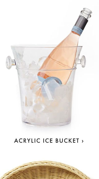 ACRYLIC ICE BUCKET ›