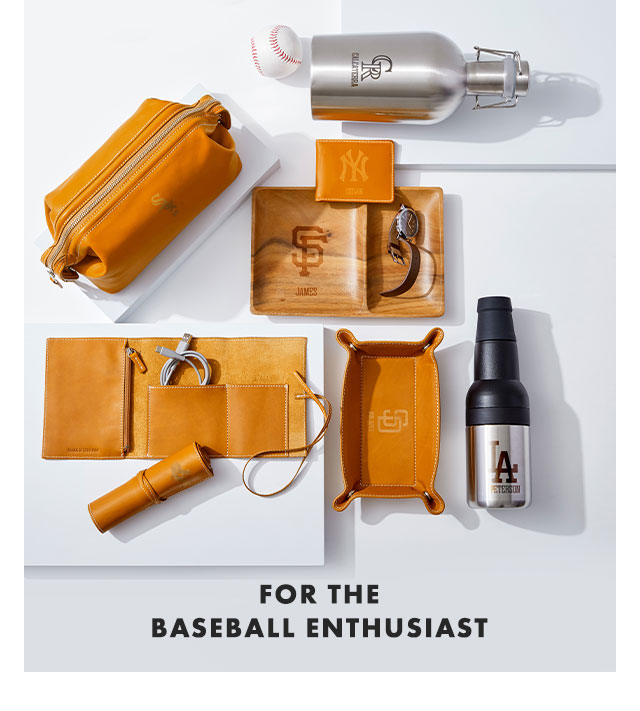 FOR THE BASEBALL ENTHUSIAST