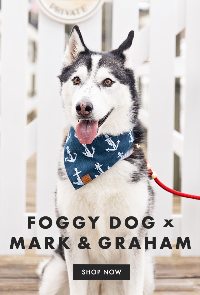 FOGGY DOG X MARK & GRAHAM - SHOP NOW
