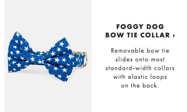 FOGGY DOG BOW TIE COLLAR › Removable bow tie slides onto most standard-width collars with elastic loops on the back.