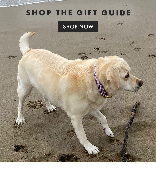 SHOP THE GIFT GUIDE - SHOP NOW