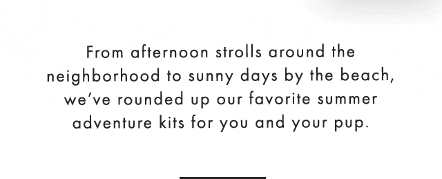 From afternoon strolls around the neighborhood to sunny days by the beach, we’ve rounded up our favorite summer adventure kits for you and your pup.