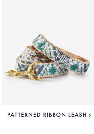 PATTERNED RIBBON LEASH ›