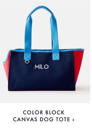 COLOR BLOCK CANVAS DOG TOTE ›