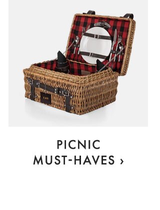 PICNIC MUST-HAVES ›