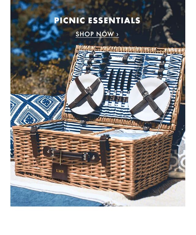 PICNIC ESSENTIALS - SHOP NOW ›