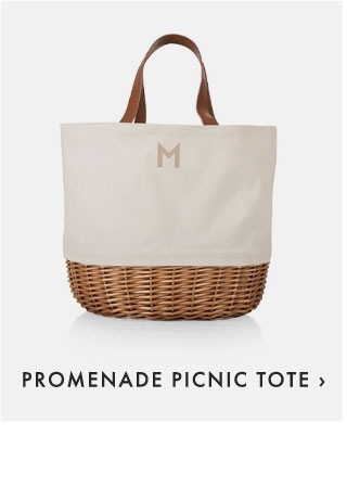 PROMENADE PICNIC TOTE ›