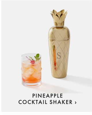 PINEAPPLE COCKTAIL SHAKER ›
