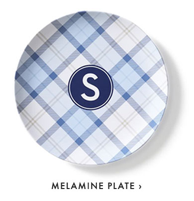 MELAMINE PLATE ›