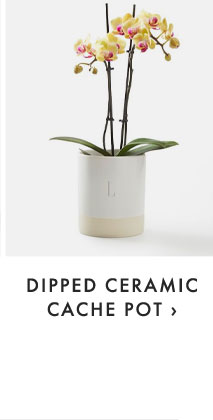DIPPED CERAMIC CACHE POT ›