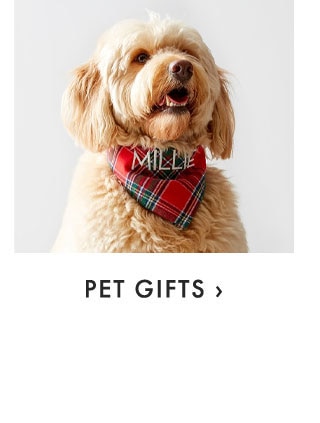 PET GIFTS ›