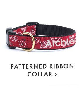 PATTERNED RIBBON COLLAR ›