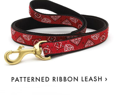 PATTERNED RIBBON LEASH ›