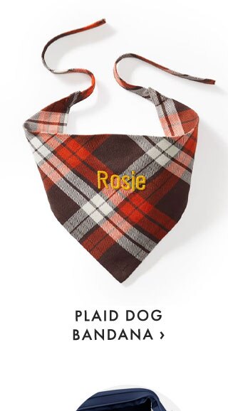 PLAID DOG BANDANA ›