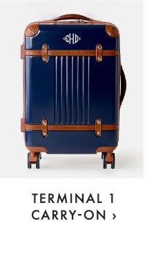 TERMINAL 1 CARRY-ON ›