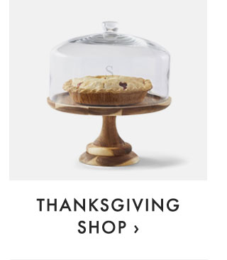 THANKSGIVING SHOP ›