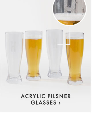 ACRYLIC PILSNER GLASSES ›