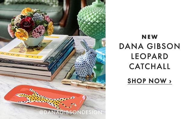NEW - DANA GIBSON LEOPARD CATCHALL - SHOP NOW ›
