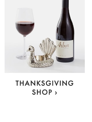 THANKSGIVING SHOP ›