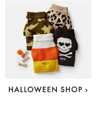 HALLOWEEN SHOP ›