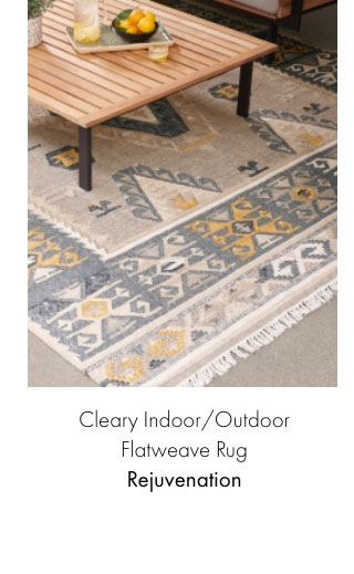 Clearly Indoor/Outdoor Flatweave Rug - Rejuvenation