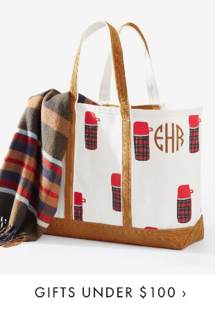 GIFTS UNDER $100 ›