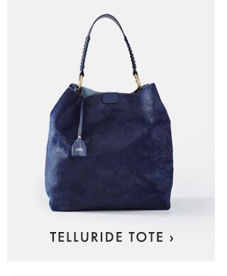 TELLURIDE TOTE ›