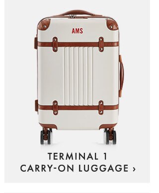 TERMINAL 1 CARRY-ON LUGGAGE ›