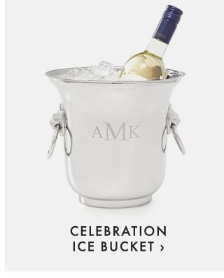 CELEBRATION ICE BUCKET ›