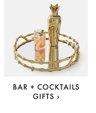 BAR + COCKTAILS GIFTS ›