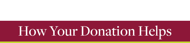 How Your Donation Helps