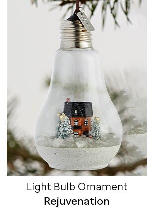 Light Bulb Ornament - Rejuvenation