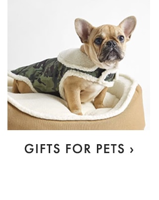 GIFTS FOR PETS ›