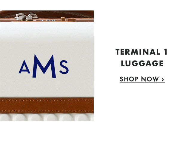 TERMINAL 1 LUGGAGE - SHOP NOW ›