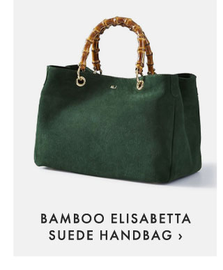BAMBOO ELISABETTA SUEDE HANDBAG ›