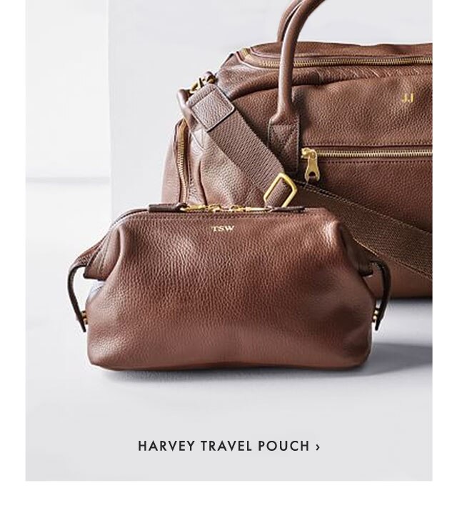 HARVEY TRAVEL POUCH ›