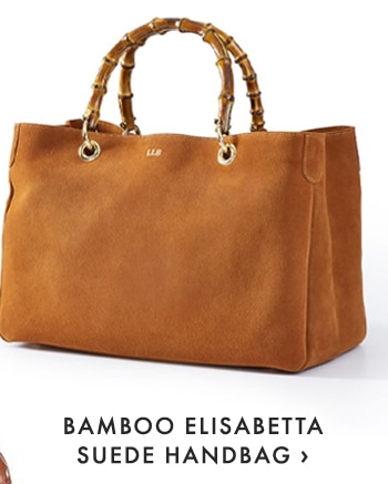 BAMBOO ELISABETTA SUEDE HANDBAG ›